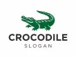 crocodile